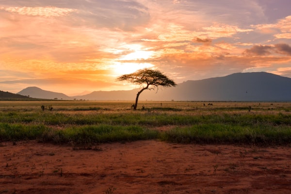 Kenya - Great Rift Valley Safari