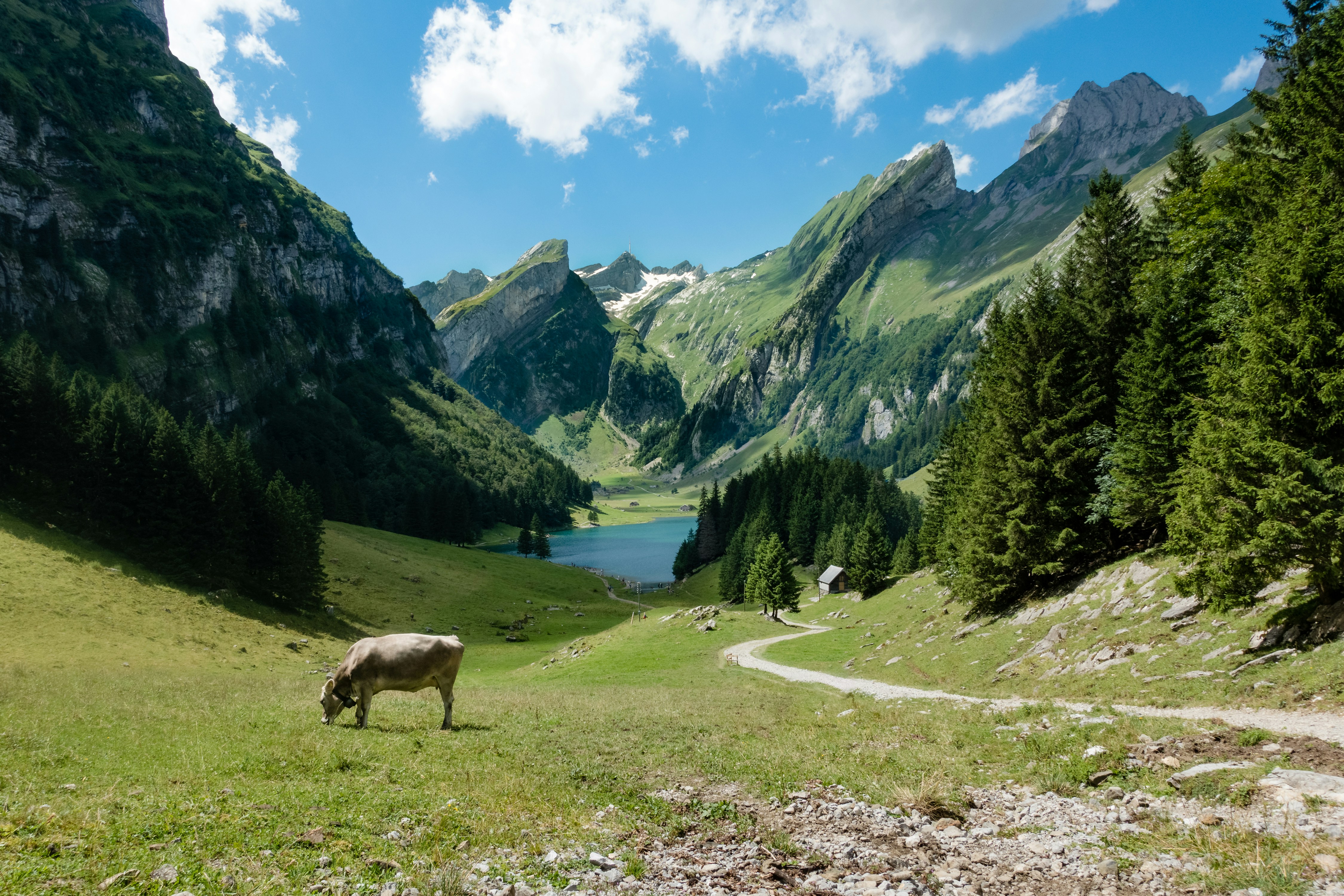 Scenic train journey through Swiss landscape